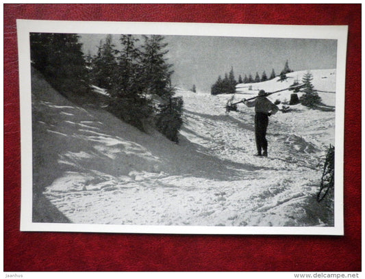 Beskid Wysoki , w zimowym sloncu - Beskid mountains - alpine skiing - old postcard - Poland - unused - JH Postcards