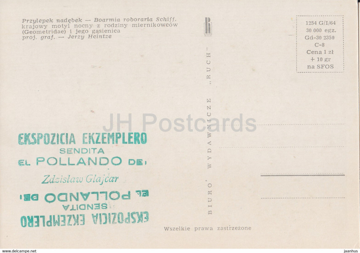 Przylepek nadebek - Hypomecis roboraria - Boarmia roboraria - papillon de nuit - insectes - illustration - Pologne - inutilisé