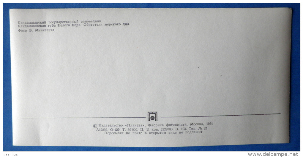 inhabitants of the seabed - crab - starfish - Kandalaksha Nature Reserve - 1974 - Russia USSR - unused - JH Postcards