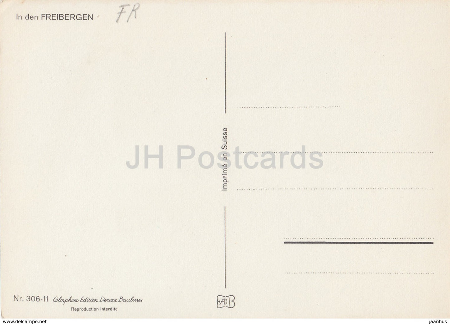 In den Freibergen - horse - Switzerland - unused