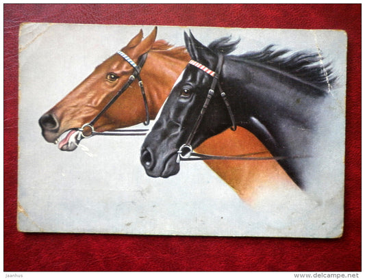 Horses - TSN serie 1756 & Dess - used - JH Postcards