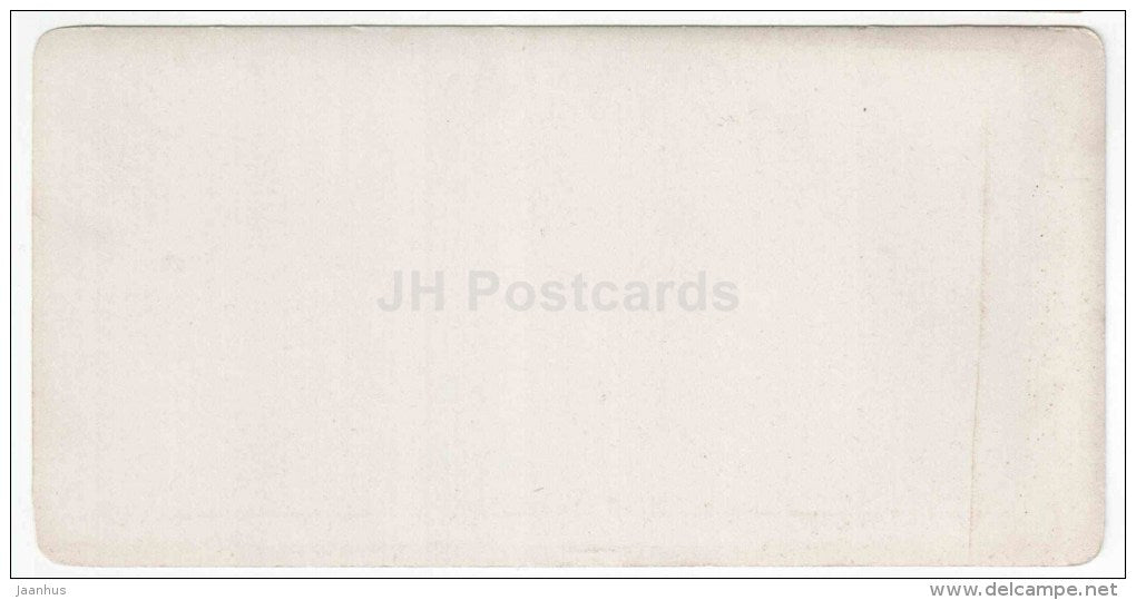 Tsar Cannon - Moscow - Russia - Russie - stereo photo - stereoscopique - old photo - JH Postcards