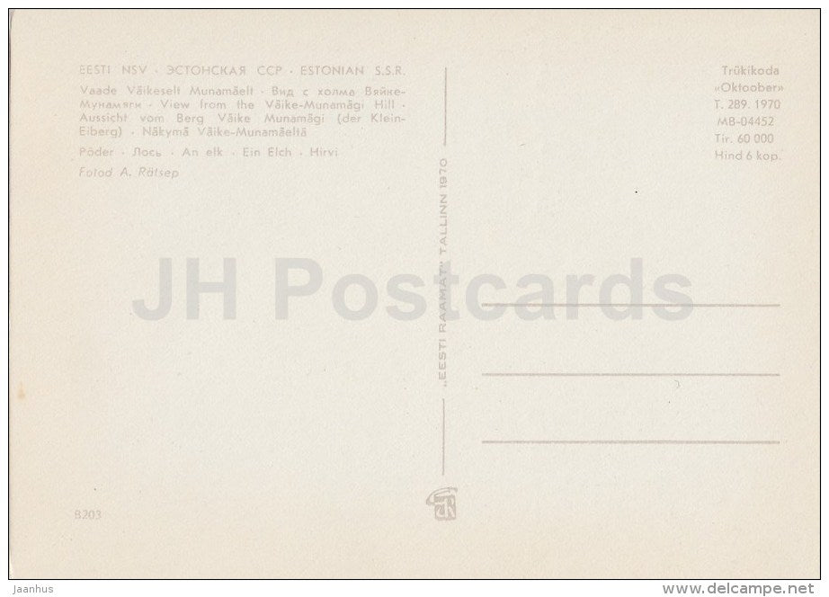 View from Väike-Munamägi Hill - Elk , Alces Alces - 1970 - Estonia USSR - unused - JH Postcards
