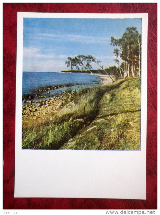 Vidzemes seaside - birch-trees - Vidzeme - 1980 - Latvia USSR - unused - JH Postcards