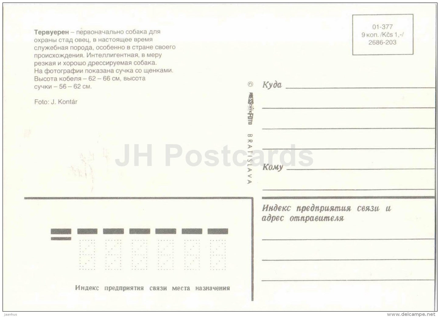 Tervuren - dog - Russia USSR - unused - JH Postcards