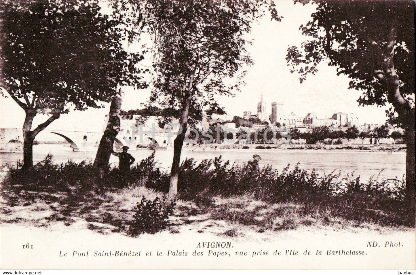 Avignon - Le Pont Saint Benezet et le Palais des Papes - I'lle de la Barthelasse - 161 - old postcard - France - unused - JH Postcards