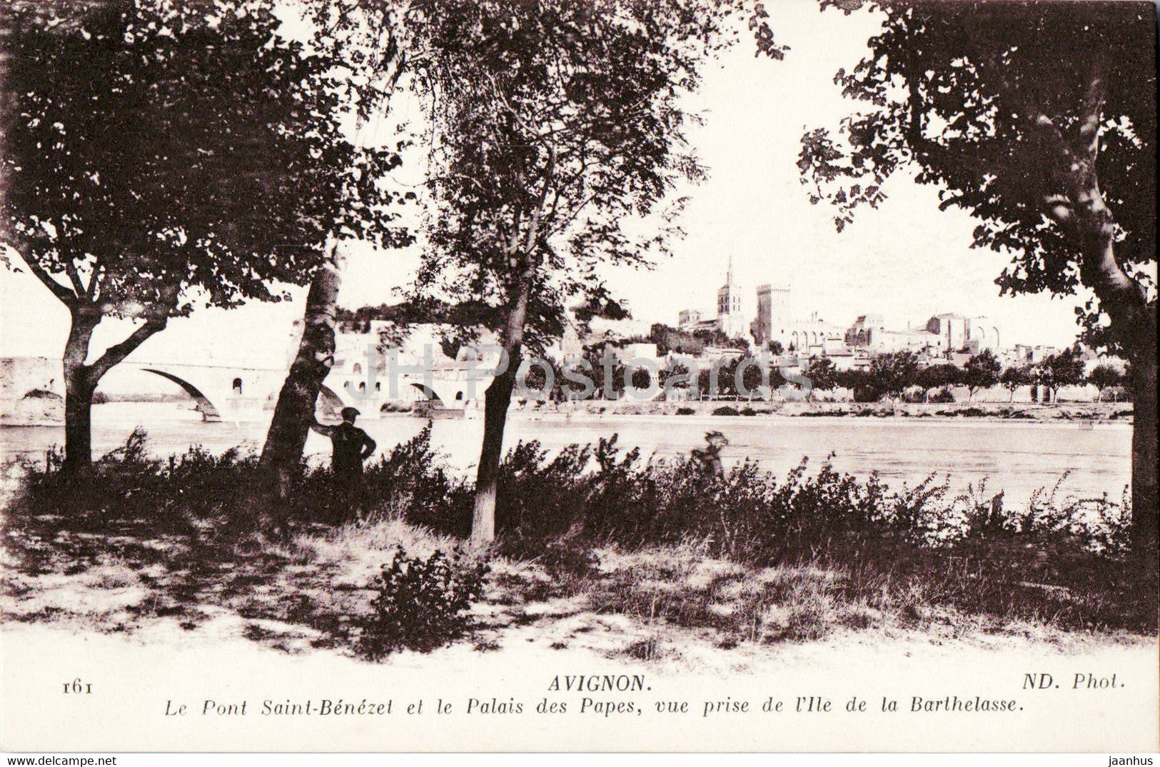 Avignon - Le Pont Saint Benezet et le Palais des Papes - I'lle de la Barthelasse - 161 - old postcard - France - unused - JH Postcards