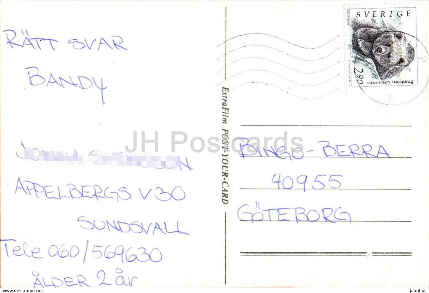 Seashore - Royaume-Uni - occasion