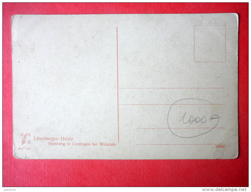 Heideweg in Cordingen bei Walsrode - Lüneburger Heide - juniper - No. 131 - old postcard - Germany - unused - JH Postcards