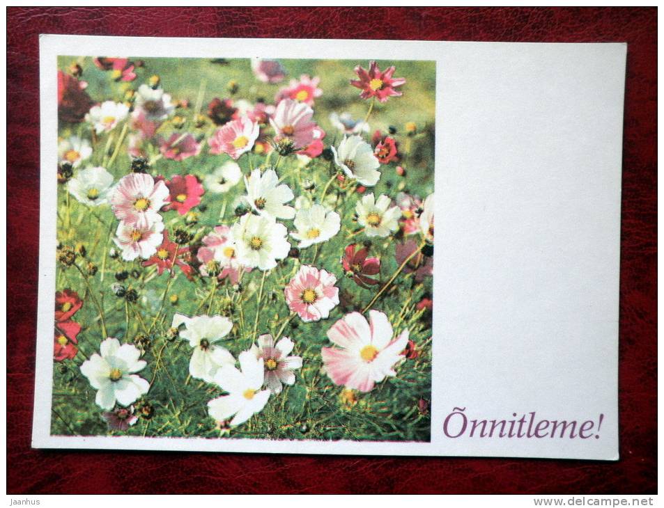 Greeting card - summer flowers - 1981 - Estonia - USSR - unused - JH Postcards