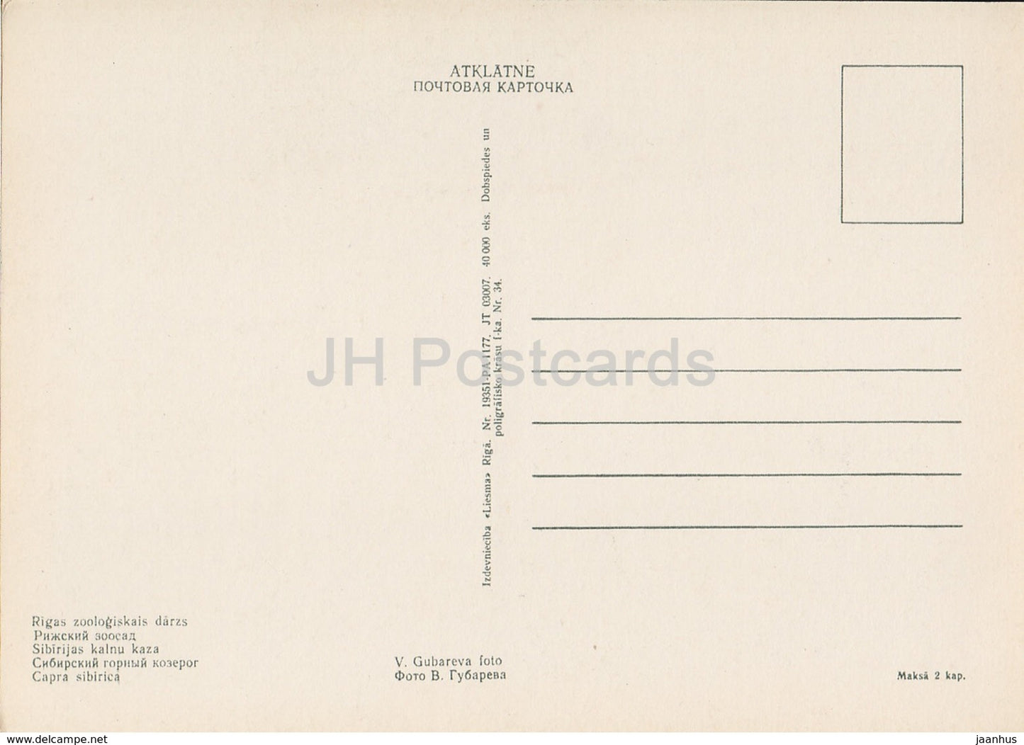 Siberian ibex - Capra sibirica - Riga Zoo - old postcard - Latvia USSR - unused
