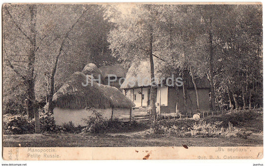 In the Willows - houses - Little Russia - Malorossiya - Petite Russie - Ukraine - old postcard - Imperial Russia - used - JH Postcards