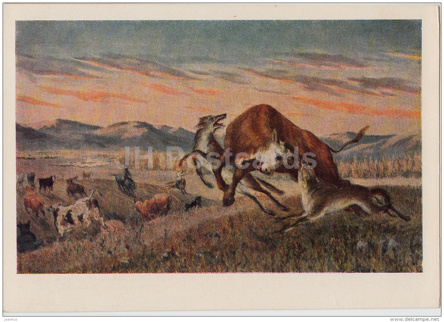 Painting by Tsybikzhap - Wolves attack - herd - Mongolian art - 1954 - Russia USSR - unused - JH Postcards
