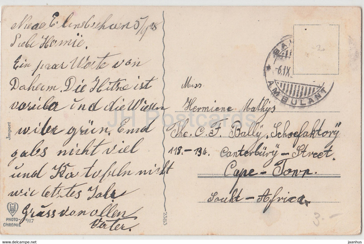 mehrfarbige Nelke - Blumen - Photochromie 917 - alte Postkarte - gebraucht