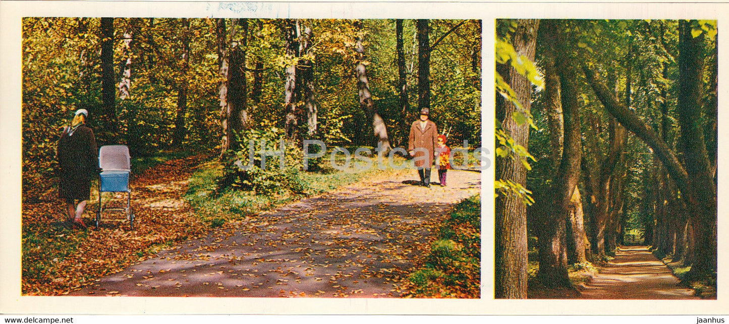 In the Park - Forest Wealth - 1981 - Russia USSR - unused - JH Postcards