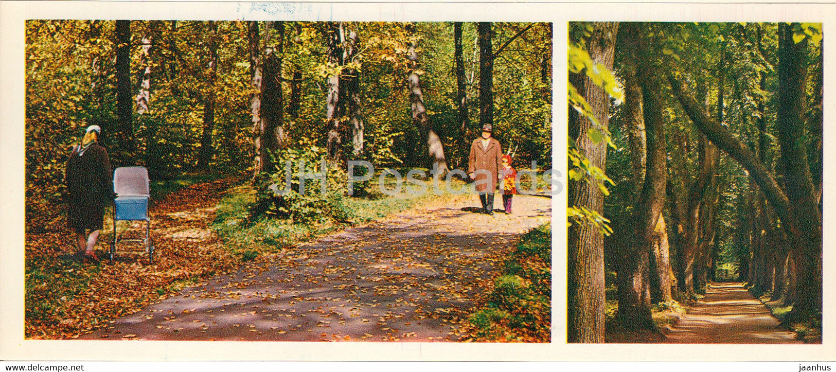 In the Park - Forest Wealth - 1981 - Russia USSR - unused - JH Postcards