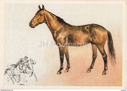 Karabair horse - illustration by A. Glukharev - horses - animals - 1988 - Russia USSR - unused - JH Postcards