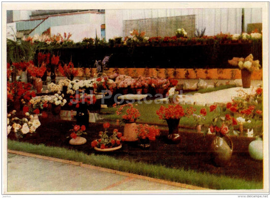 a fragment of the flower-show , by the Kaunas Florist section - 1963 - Lithuania USSR - unused - JH Postcards
