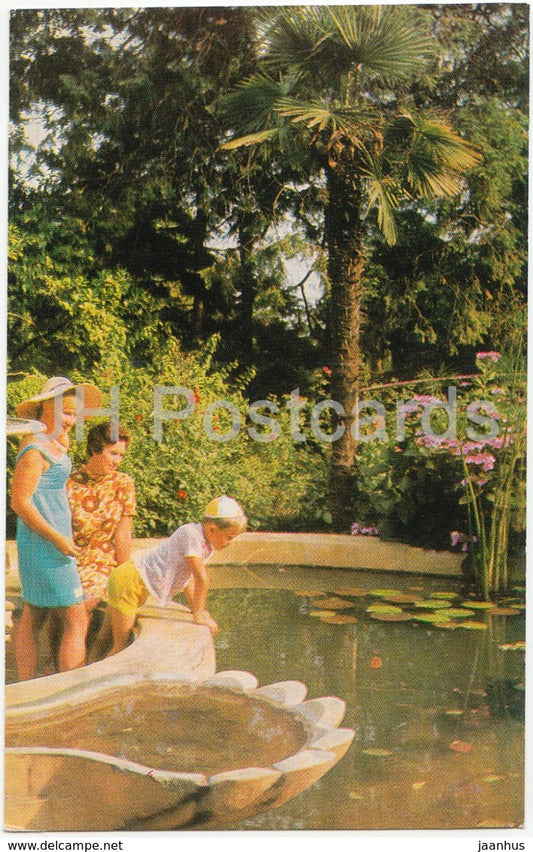 Sochi - Dendrarium - The Shell Pond - 1971 - Russia USSR - unused - JH Postcards