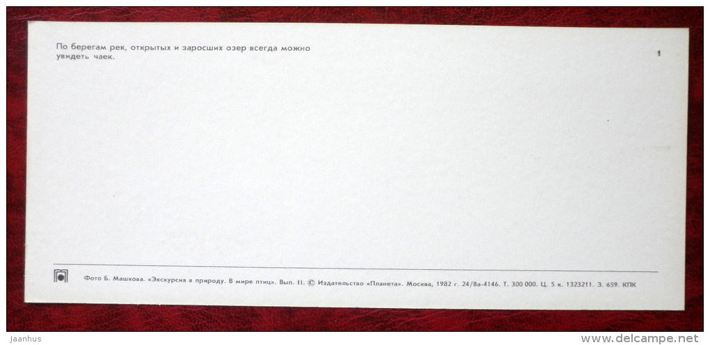 Seagulls - birds - 1982 - Russia USSR - unused - JH Postcards