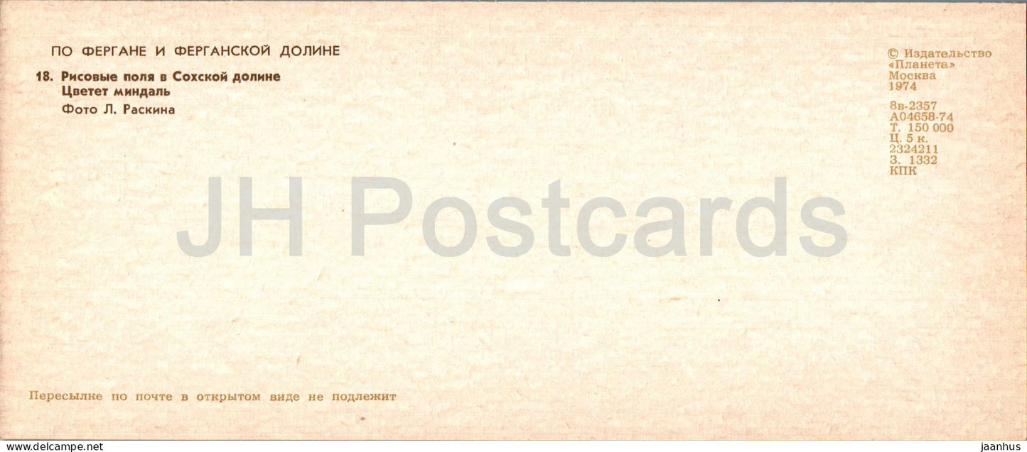 Fergana and Fergana Valley - rice fields in Sokh valley - almond blossoms - 1974 - Uzbekistan USSR - unused