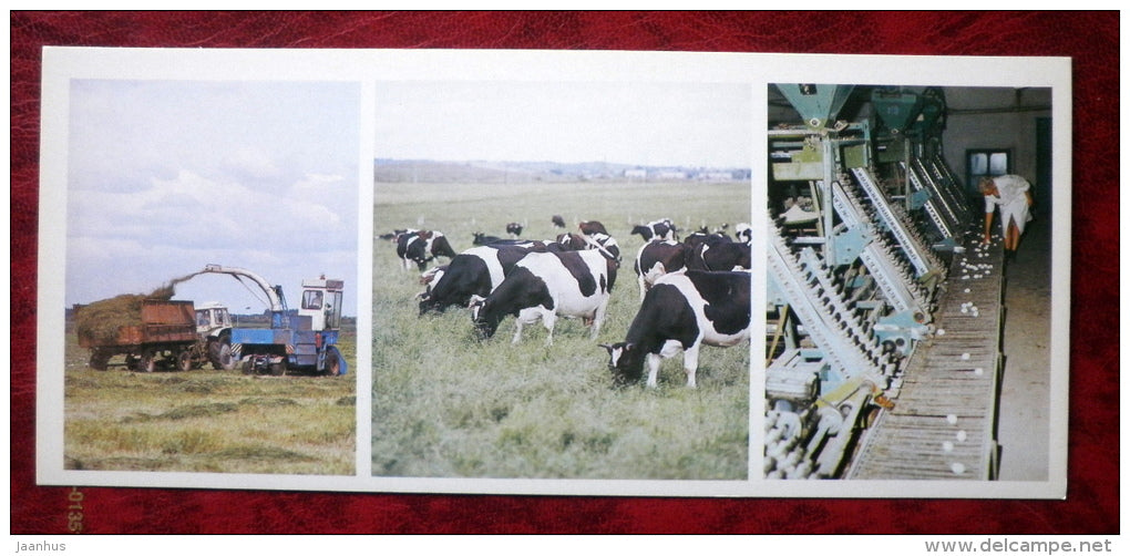 silage - cows - Poultry - 1983 - Russia - USSR - unused - JH Postcards