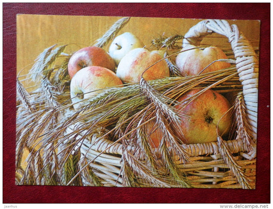 New Year greeting card - apples - corn - 1982 - Estonia USSR - used - JH Postcards