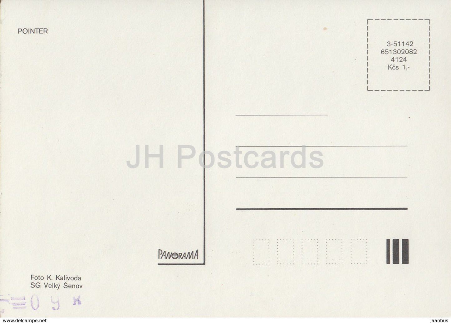 Pointeur - chien - Tchécoslovaquie - inutilisé