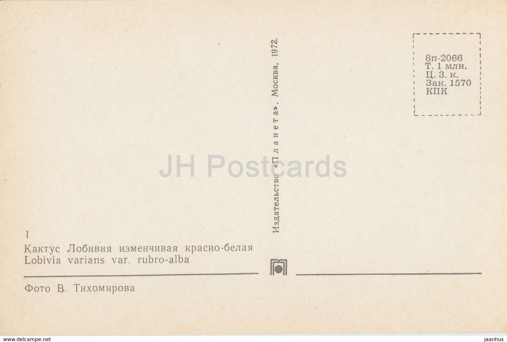 Lobivia varians - Cactus - Flowers - 1972 - Russia USSR - unused - JH Postcards