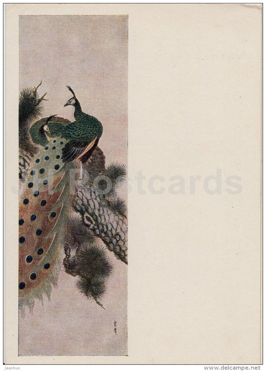 Painting by Un Pon - Peacock - bird - Korean art - 1954 - Russia USSR - unused - JH Postcards
