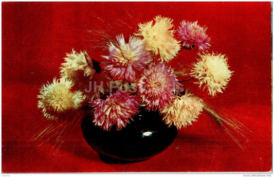 aster - vase - bouquet - flowers - 1971 - Russia USSR - unused - JH Postcards