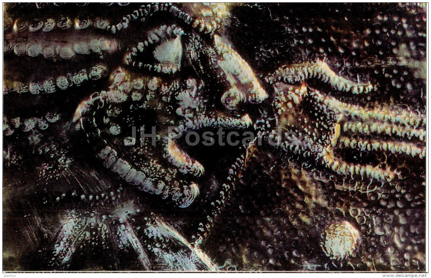 The Call by K. Guruli - ornamental plaque - Stamping and Ceramics of Georgia - 1968 - Georgia USSR - unused - JH Postcards