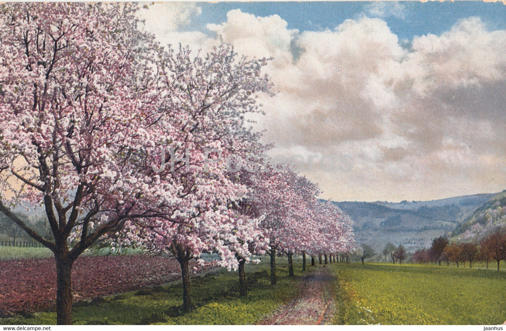 Fruhling im Bohm Mittelgerbirge - Bei Tichlowitz - Techlovice - Photochromie - 3739 - old postcard - used - JH Postcards