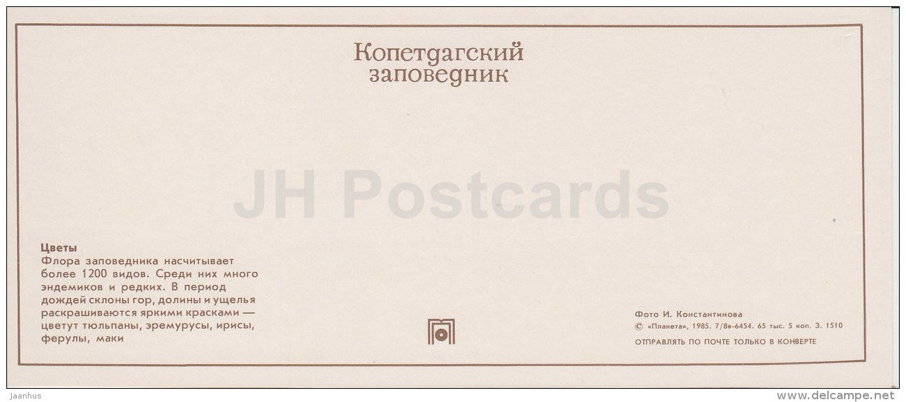 Field Flowers - Kopet Dagh Nature Reserve - 1985 - Turkmenistan USSR - unused - JH Postcards