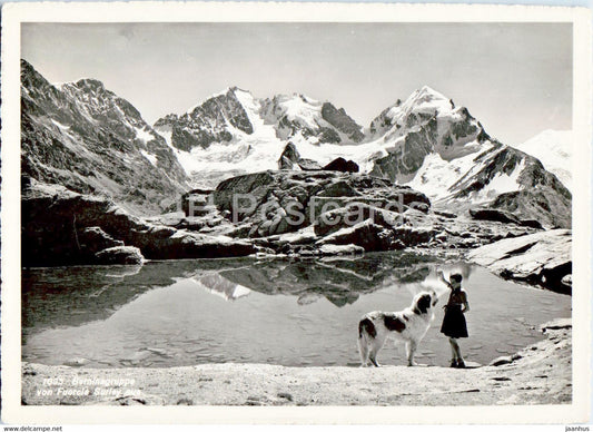 Berninagruppe von Fuorcla Surley - dog - St Bernard - 1095 - old postcard - 1950 - Switzerland - used - JH Postcards