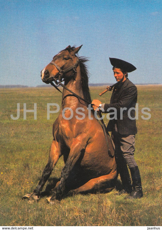 Hortobagy - Csikos - Horse Herd - Hungary - unused - JH Postcards