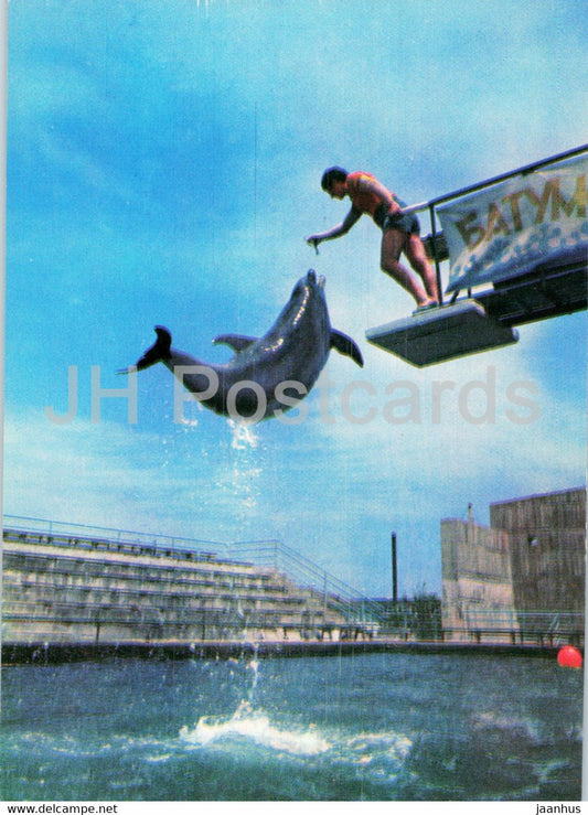 Batumi Dolphinarium - dolphin - high jump - 1980 - Georgia USSR - unused - JH Postcards