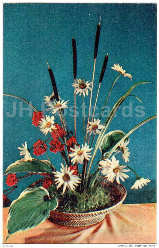 Daisycat's-tail - composition - ikebana - flowers - 1971 - Russia USSR - unused - JH Postcards