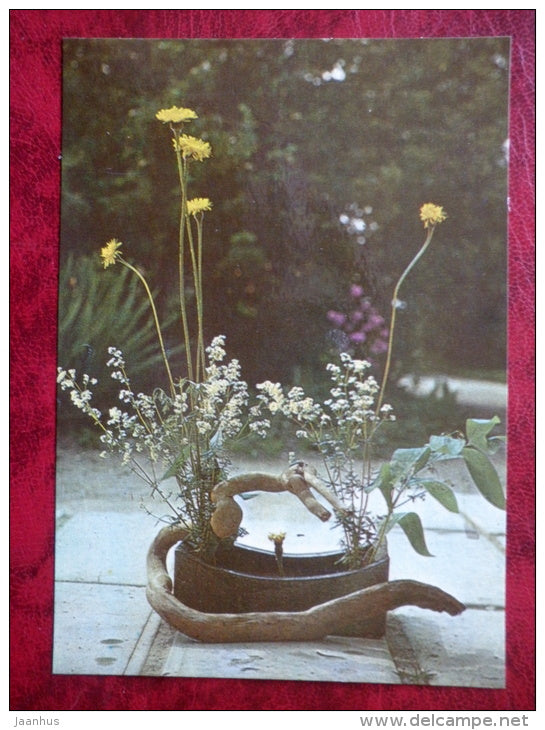 flower composition . Little Party - Spotted Cat´s Ear - 1983 - Estonia USSR - unused - JH Postcards