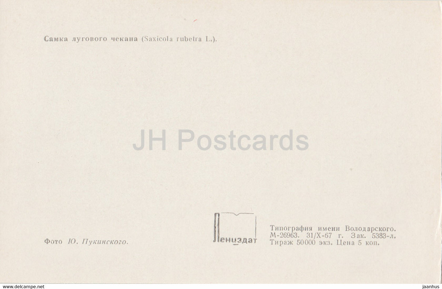 Whinchat - female bird -  Saxicola rubetra - birds - 1968 - Russia USSR - unused