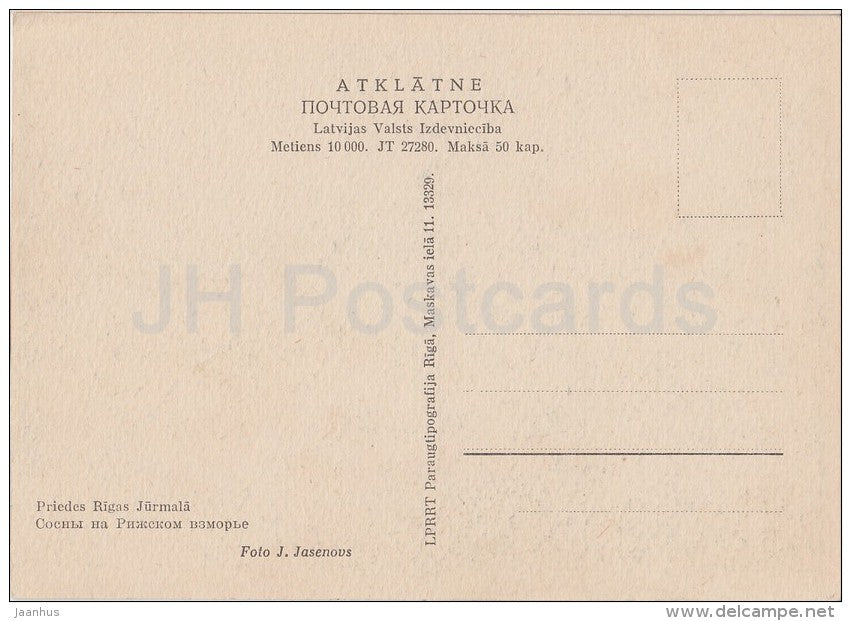 Pine trees near Riga - old postcard - Latvia USSR - unused - JH Postcards