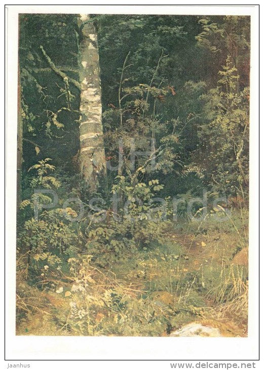 painting by I. Shishkin - Birch and Rowan Trees . Etude , 1878 - russian art - unused - JH Postcards
