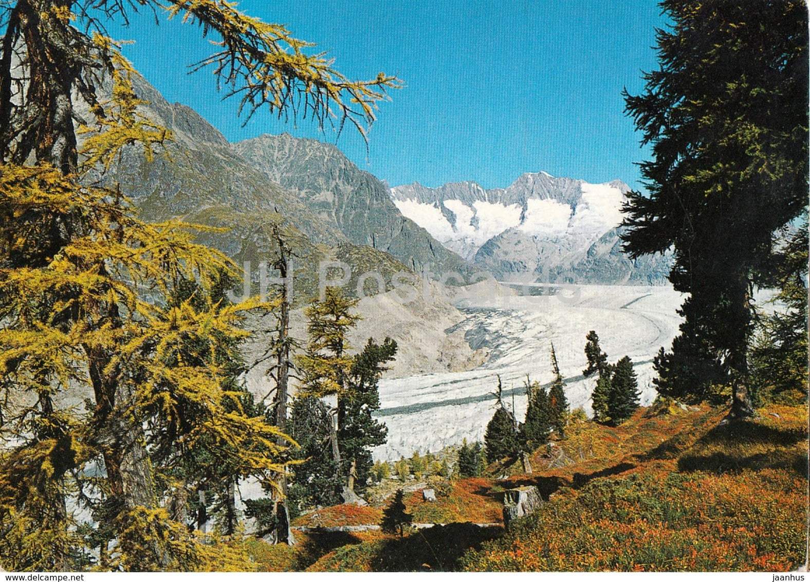 Aletschgletscher - glacier - Wallis - 1975 - Switzerland - used - JH Postcards
