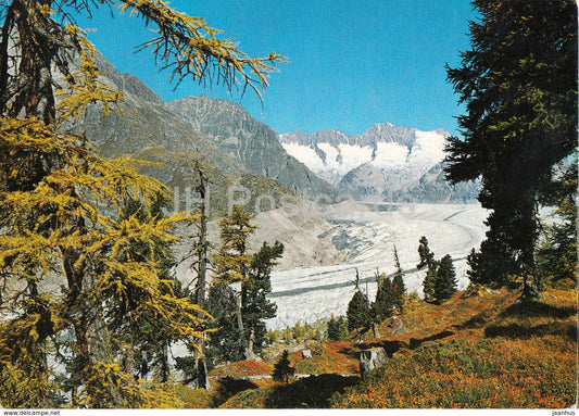 Aletschgletscher - glacier - Wallis - 1975 - Switzerland - used - JH Postcards