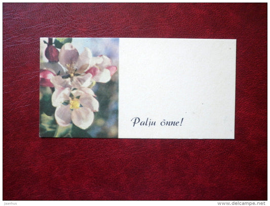 apple blossom - flowers - mini format card - 1968 - Estonia USSR - used - JH Postcards