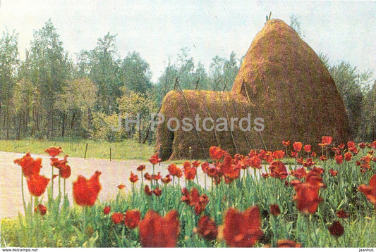 Razliv - Model of The Hut - Lenin Memorial - 1969 - Russia USSR -  unused - JH Postcards