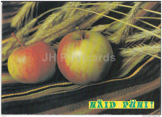 New Year Greeting card - apples - corn - 1990 - Estonia USSR - used - JH Postcards