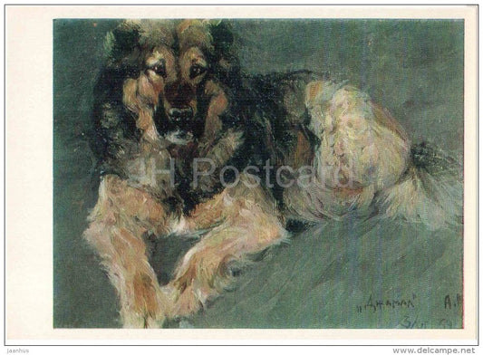 painting by A. Komarov - Dzhamal , Caucasian Shepherd - dog - russian art - unused - JH Postcards