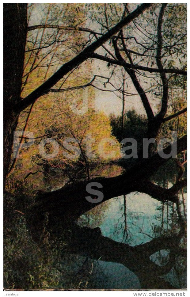 The Large Pond - Russian writer Leo Tolstoy Museum - Yasnaya Polyana - 1971 - Russia USSR - unused - JH Postcards