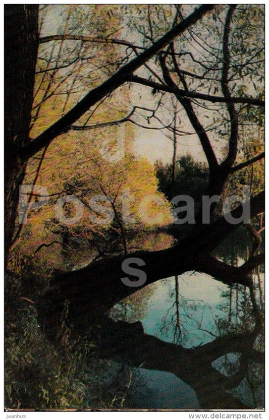The Large Pond - Russian writer Leo Tolstoy Museum - Yasnaya Polyana - 1971 - Russia USSR - unused - JH Postcards